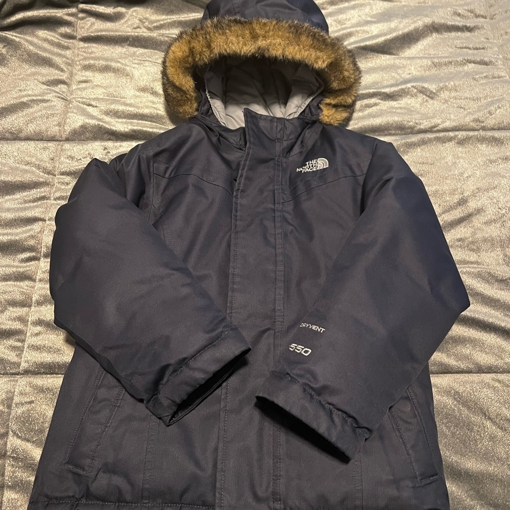 The North Face Greenland Hooded Down Parka